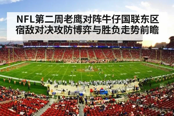 american football stadium crowd